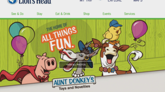 AuntDonkey - MainImage
