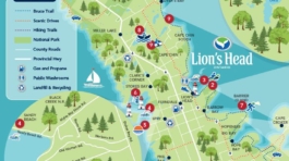 Lion's Head - Main Image